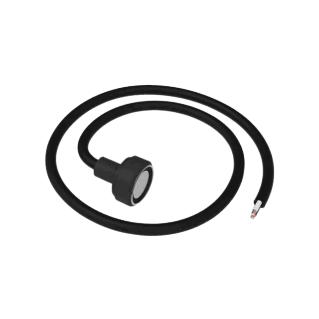 Driver IDentifier, iButton reader 1Wire